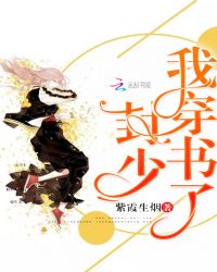 封少，我穿书了！封面