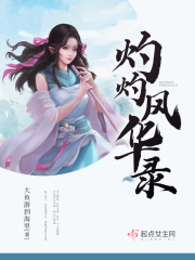 灼灼风华录封面