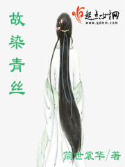 故染青丝封面