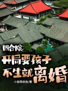 四合院:我娶小当,娄晓娥气疯了封面
