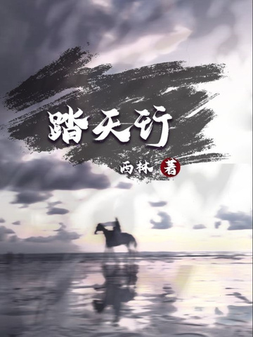 踏天行封面