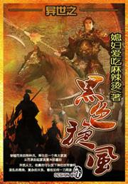 异世之黑色旋风封面