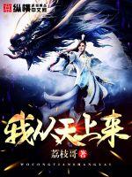 我从天上来封面