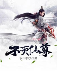 不灭仙尊封面