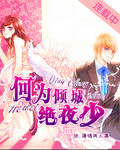 何为倾城绝夜少！封面