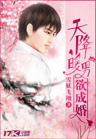 天降暖男欲成婚封面