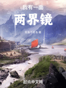 我有一面两界镜封面