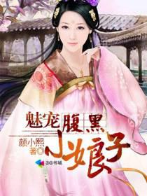 魅宠腹黑小娘子封面