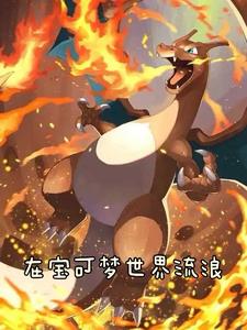 在宝可梦世界流浪封面