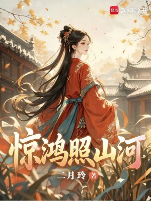 惊鸿照山河封面