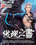 燃魂之书封面