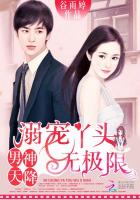 男神天降：溺宠丫头无极限封面