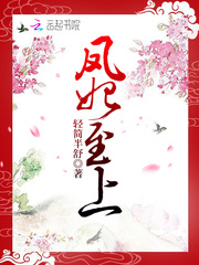 凤妃至上封面