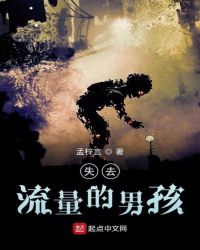 失去流量的男孩封面