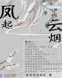 凤起云烟封面