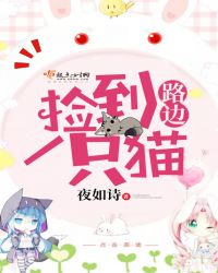 路边捡到一只猫封面