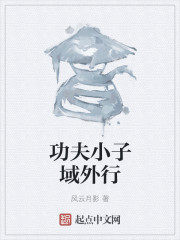功夫小子域外行封面