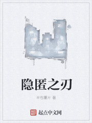 隐匿之刃封面