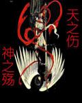 天之伤神之殇封面