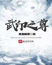 武印之尊封面