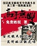 高手无双封面