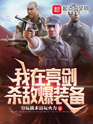 我在亮剑杀敌爆装备封面
