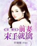 第一婚宠:前妻束手就擒封面