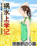 祸水上学记封面