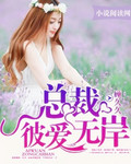 总裁彼爱无岸封面
