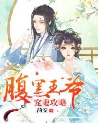 腹黑王爷宠妻攻略封面