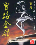官路金领封面
