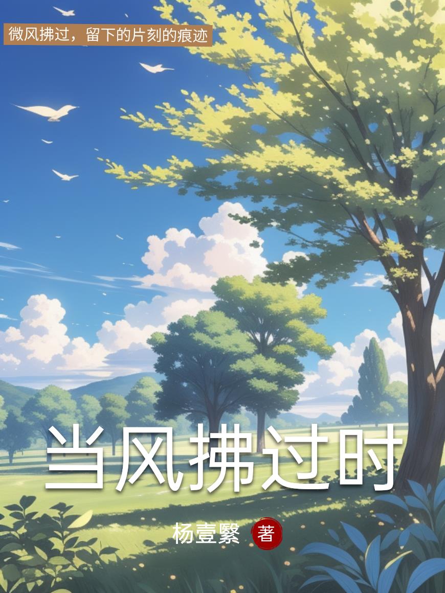 当风拂过时封面