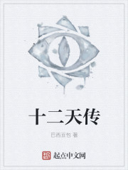 十二天传封面