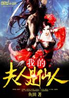我的夫人是仙人封面