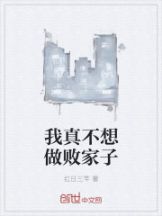 我真不想做败家子封面