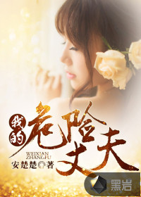 我的危险丈夫封面