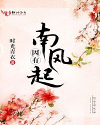 因有南风起封面