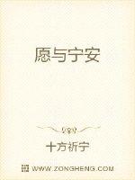 愿与宁安封面