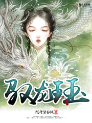 驭龙珏封面
