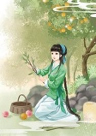 长媳的农家生活封面