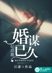 纪总裁婚谋已久封面