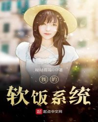 我的软饭系统封面