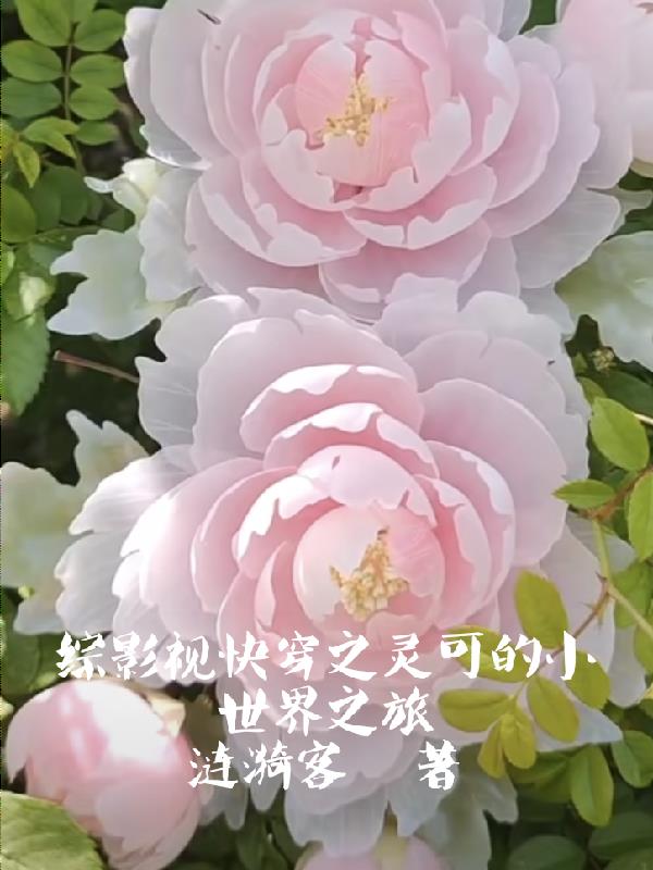 综影视快穿之灵可的小世界之旅封面