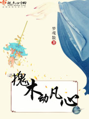 槐木动凡心封面