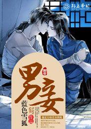 男妾封面