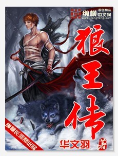 狼王传封面