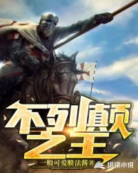 不列颠之王封面