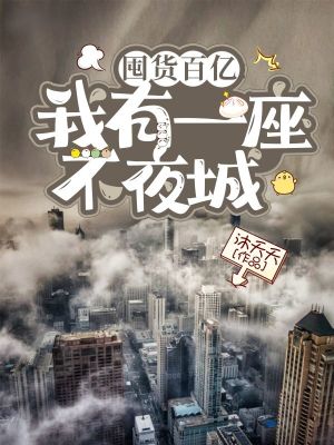囤货百亿：我有一座不夜城封面