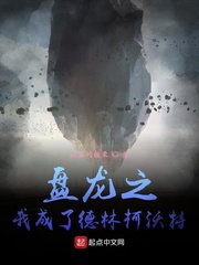 盘龙之我成了德林柯沃特封面