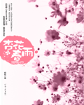 杏花春雨封面